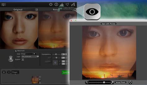Neonway CropAndNote 1.8 Premium