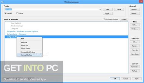 DeskSoft WindowManager 10.21.7 32-bit
